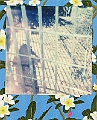 la mia ombra _50